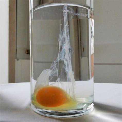 Wotch egg cleanse